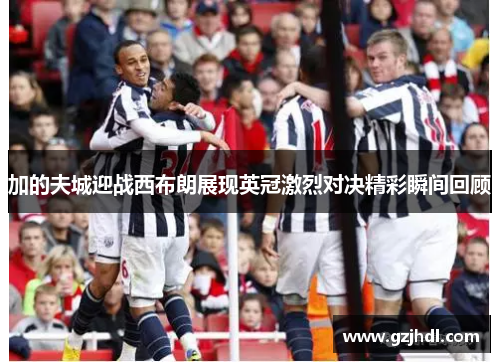 加的夫城迎战西布朗展现英冠激烈对决精彩瞬间回顾