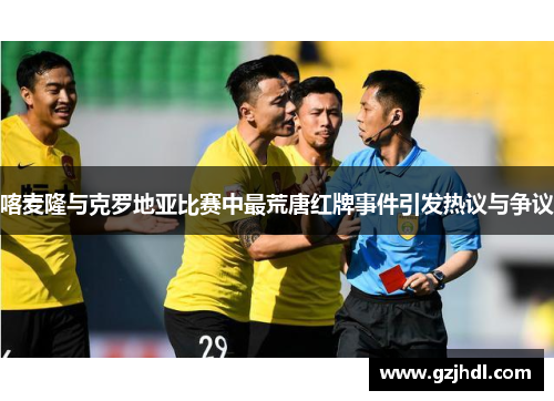 喀麦隆与克罗地亚比赛中最荒唐红牌事件引发热议与争议