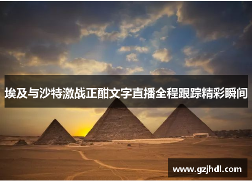 埃及与沙特激战正酣文字直播全程跟踪精彩瞬间