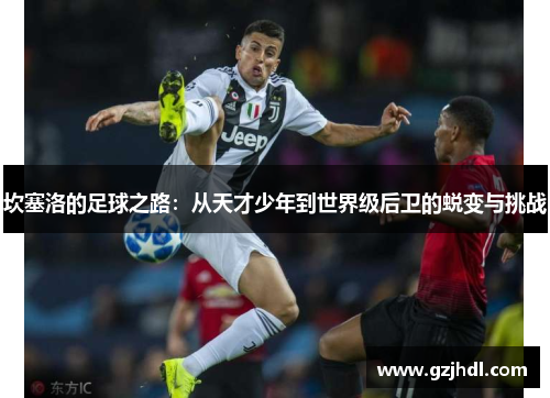 坎塞洛的足球之路：从天才少年到世界级后卫的蜕变与挑战